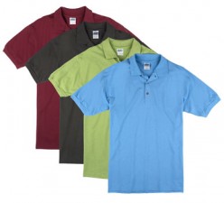 Assorted Colors Adult Polo